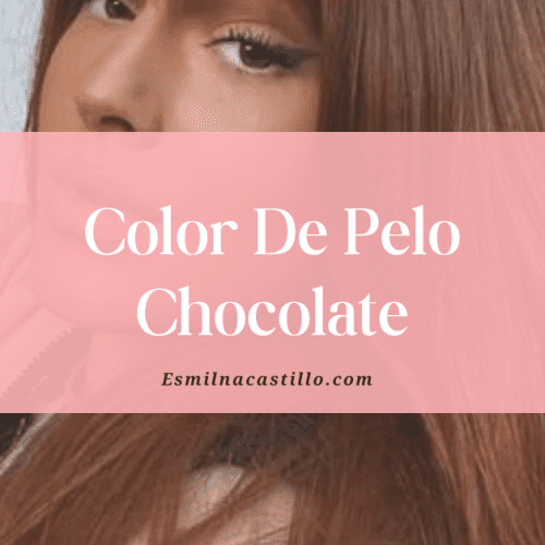Color De Pelo Chocolate