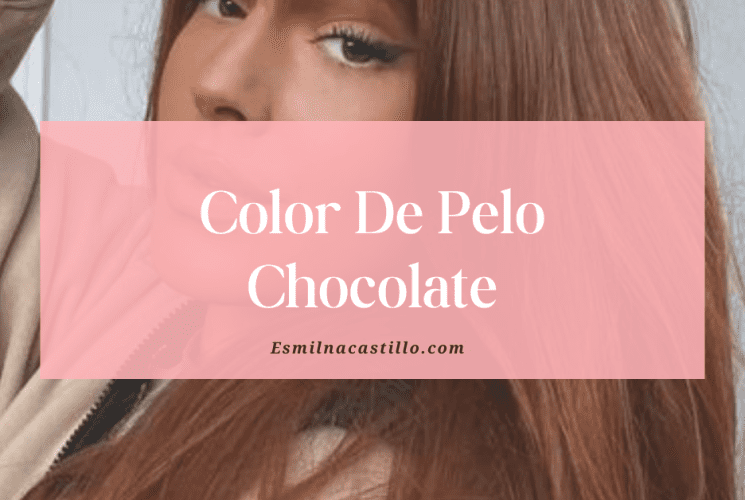 Color De Pelo Chocolate